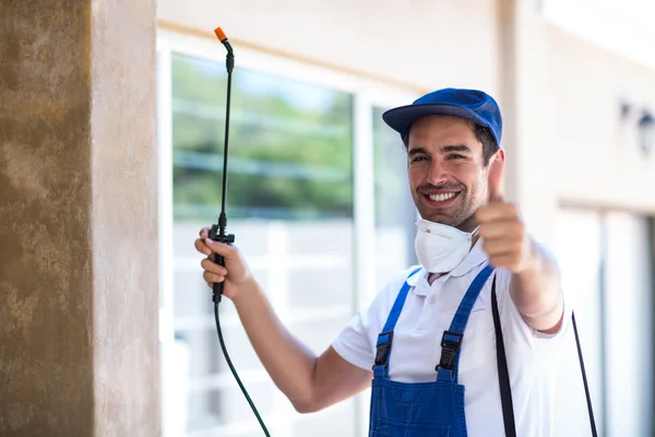 Universal City Wasp Removal