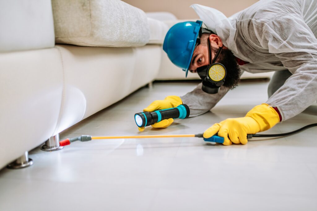 Universal City Termite Control