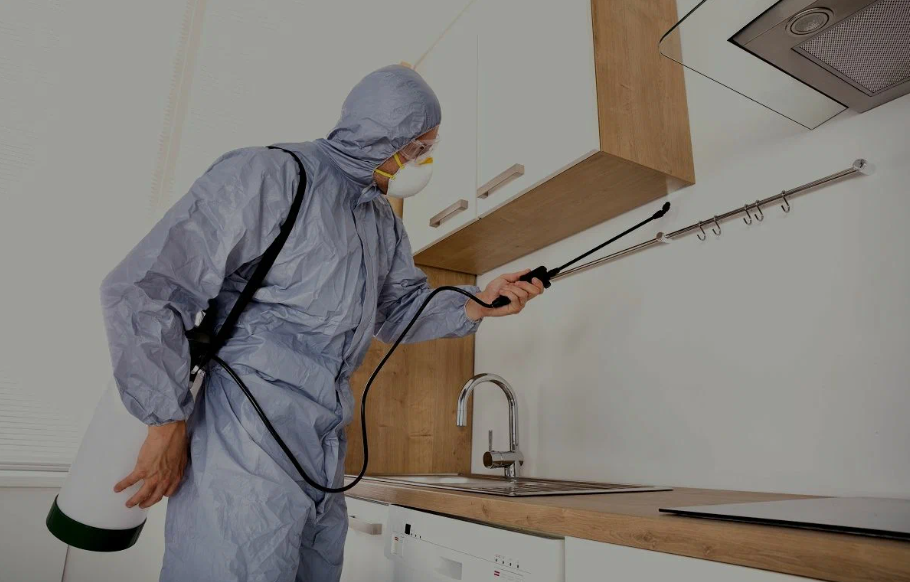 Universal City pest managment